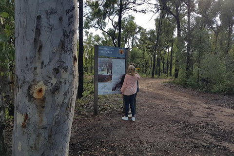 1.5 Hour Mulgoa Rock Look Out Tour - Accommodation ACT 4