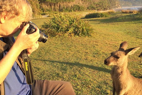 Highlights Of The Eurobodalla (half Day Private Tour) - Accommodation ACT 2