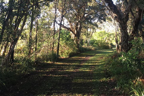 Coffs Harbour To Sawtell Bike Ride - Accommodation ACT 7