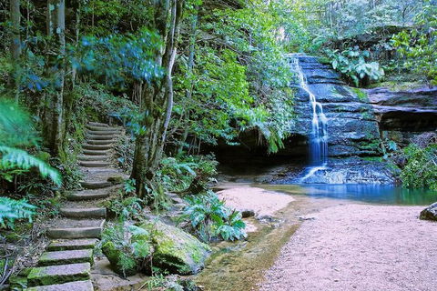 Private Blue Mountains Photography Expedition - Accommodation ACT 7