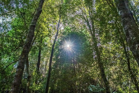 Private Blue Mountains Photography Expedition - Accommodation ACT 5