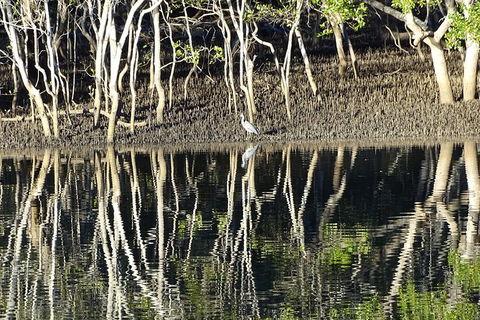 Sunset Eco Rainforest River Cruise - Accommodation ACT 3