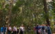Breakfast Bushwalk Tour In Captain Cook\'s Monument - thumb 0
