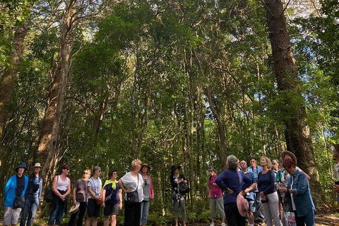Breakfast Bushwalk Tour In Captain Cook\'s Monument - Accommodation ACT 0