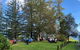 Breakfast Bushwalk Tour In Captain Cook\'s Monument - thumb 1