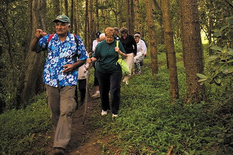 Breakfast Bushwalk Tour In Captain Cook\'s Monument - Accommodation ACT 4