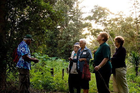 Breakfast Bushwalk Tour In Captain Cook\'s Monument - Accommodation ACT 3