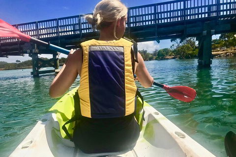 2-Hour Rental Kayak Double In Brunswick River - Accommodation ACT 3