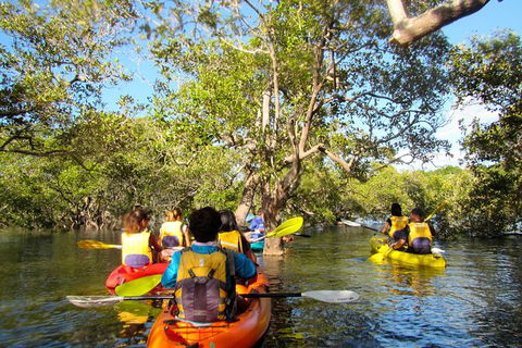 2-Hour Rental Kayak Double In Brunswick River - Accommodation ACT 2