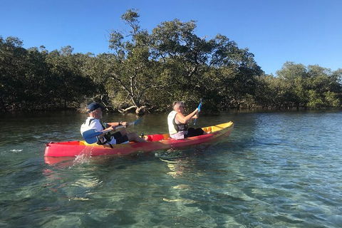 2-Hour Rental Kayak Double In Brunswick River - Accommodation ACT 4