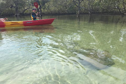 2-Hour Rental Kayak Double In Brunswick River - Accommodation ACT 6