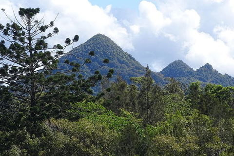 Byron Bay Rainforest Eco-Cruise - Accommodation ACT 3