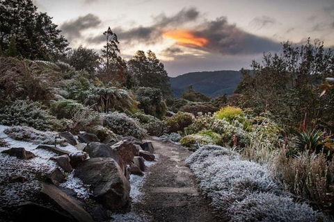 Blue Mountains Botanic Garden And Bilpin Tour From Katoomba With Cider Tasting - Accommodation ACT 2