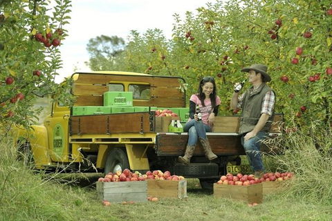 Blue Mountains Botanic Garden And Bilpin Tour From Katoomba With Cider Tasting - Accommodation ACT 0
