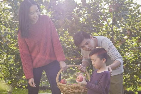 Blue Mountains Botanic Garden And Bilpin Tour From Katoomba With Cider Tasting - Accommodation ACT 1