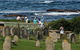 Half-Day Norfolk Island Guided Convict History Tour - thumb 0