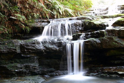 Private 10-hour Tour To Blue Mountains From Sydney - Hotel Pick Up & Drop Off - Accommodation ACT 6