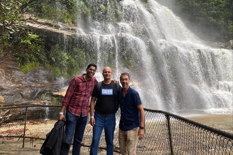 Blue Mountains Highlights & Wildlife Park - Accommodation ACT 4