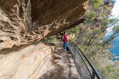Blue Mountains Highlights & Wildlife Park - Accommodation ACT 0