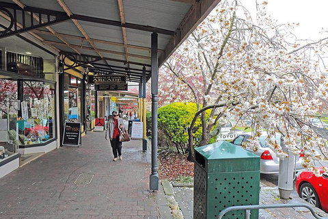 Blue Mountains Highlights & Wildlife Park - Accommodation ACT 2