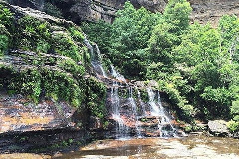 Blue Mountains Highlights & Wildlife Park - Accommodation ACT 8