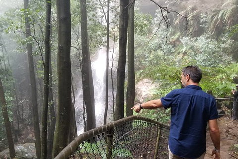 Blue Mountains Highlights, Wildlife Park And Scenic World Full Day Private Tour - Accommodation ACT 6
