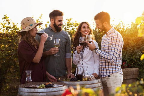 Hunter Valley Highlights Private Wine Tour From Sydney - Accommodation ACT 0