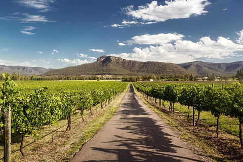 Hunter Valley Highlights Private Wine Tour From Sydney - Accommodation ACT 2