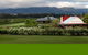 Hunter Valley Highlights Private Wine Tour From Sydney - thumb 5