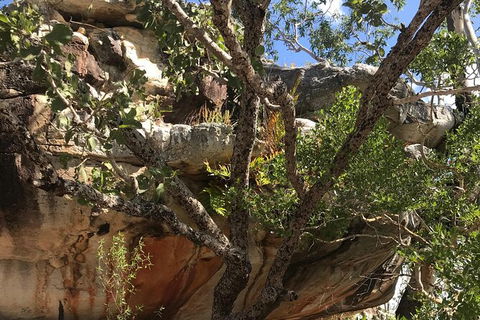 2-Hour 4WD Tour: Groote Eylandt Snapshot - Accommodation ACT 3