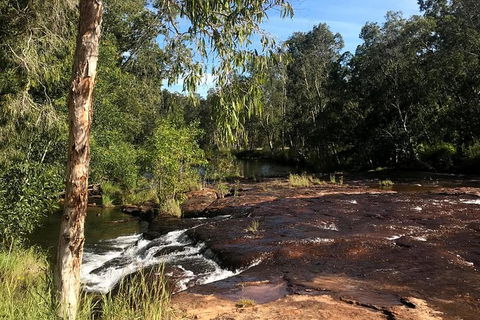 4-Hour Groote Eylandt Explorer 4WD Tour - Accommodation ACT 5