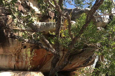 4-Hour Groote Eylandt Explorer 4WD Tour - Accommodation ACT 1