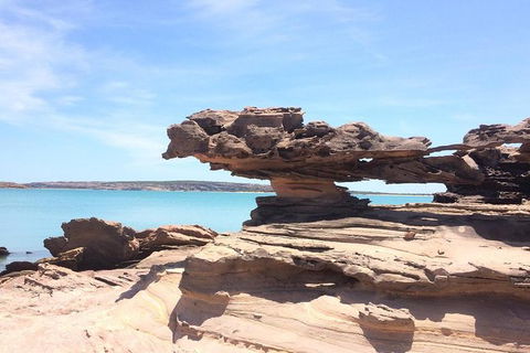 Groote Eylandt Tour: Hanging Rock Cave Paintings - Accommodation ACT 0