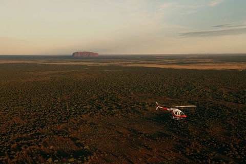 Helicopter Scenic: Lizard Safari - Accommodation ACT 4