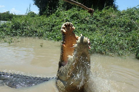 Jumping Crocodile Day Trip From Darwin - Accommodation ACT 4