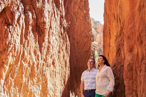 Best Of Alice Springs Full Day Tour - Accommodation ACT 4