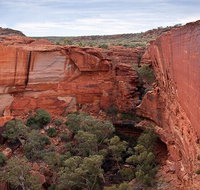 Uluru Kata Tjuta and Kings Canyon Camping Safari from Ayers Rock - Accommodation ACT