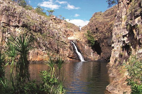 Kakadu, Katherine & Litchfield Adventure - Accommodation ACT 1