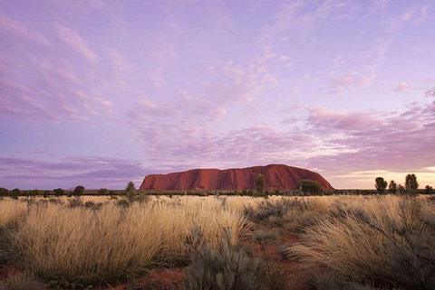 Explore Uluru: 7 Hours Guide Tour At Sunrise With Light Breakfast - Accommodation ACT 4