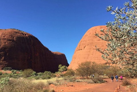 5-Hour Kata Tjuta Sunrise Tour From Ayers Rock With Breakfast - Accommodation ACT 2