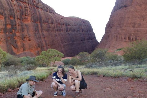 5-Hour Kata Tjuta Sunrise Tour From Ayers Rock With Breakfast - Accommodation ACT 3