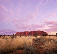 Sunset Australian Barbecue Dinner in Uluru - Accommodation ACT