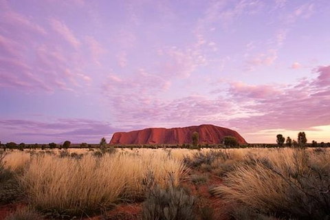 Sunset Australian Barbecue Dinner In Uluru - Accommodation ACT 0