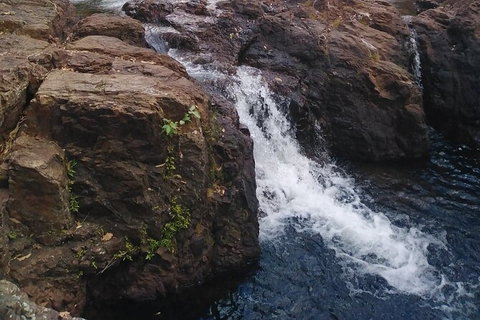 Full-Day Private Guided Tour To Litchfield National Park - Accommodation ACT 8