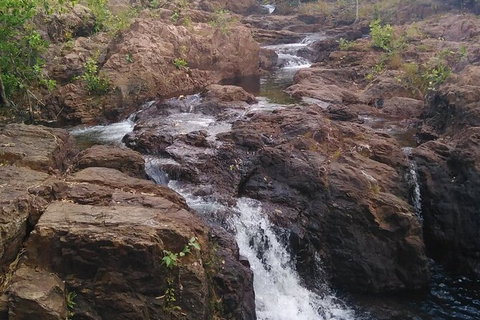 Full-Day Private Guided Tour To Litchfield National Park - Accommodation ACT 15
