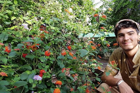 Full-Day Private Guided Tour To Litchfield National Park - Accommodation ACT 17