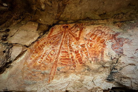 Arnhem Land Injalak Hill Full-Day Tour From Darwin - Accommodation ACT 1