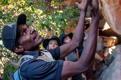 Arnhem Land Injalak Hill Full-Day Tour From Darwin - Accommodation ACT 0