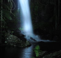 Mt Tamborine National Park 4WD Nocturnal Rainforest and Glow Worm Tour - Accommodation ACT