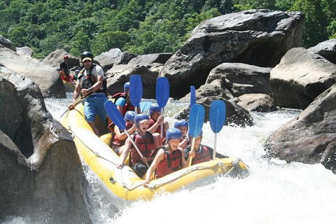Barron River Half-Day White Water Rafting From Cairns - Accommodation ACT 0